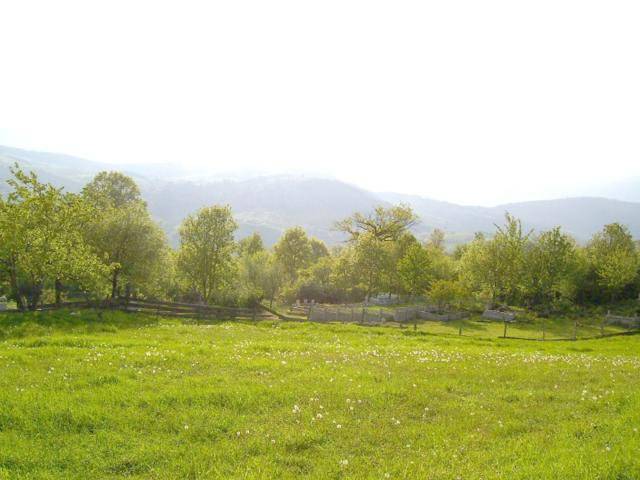 Sinop Akbaş Köyü Resimleri 1