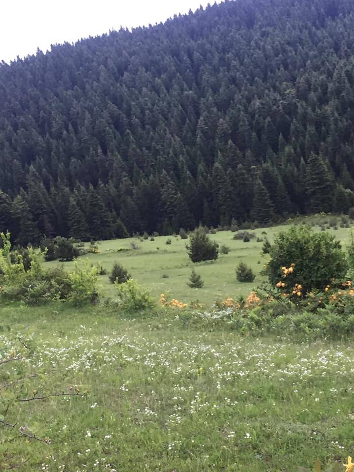 Sinop Akbaş Köyü Resimleri 7