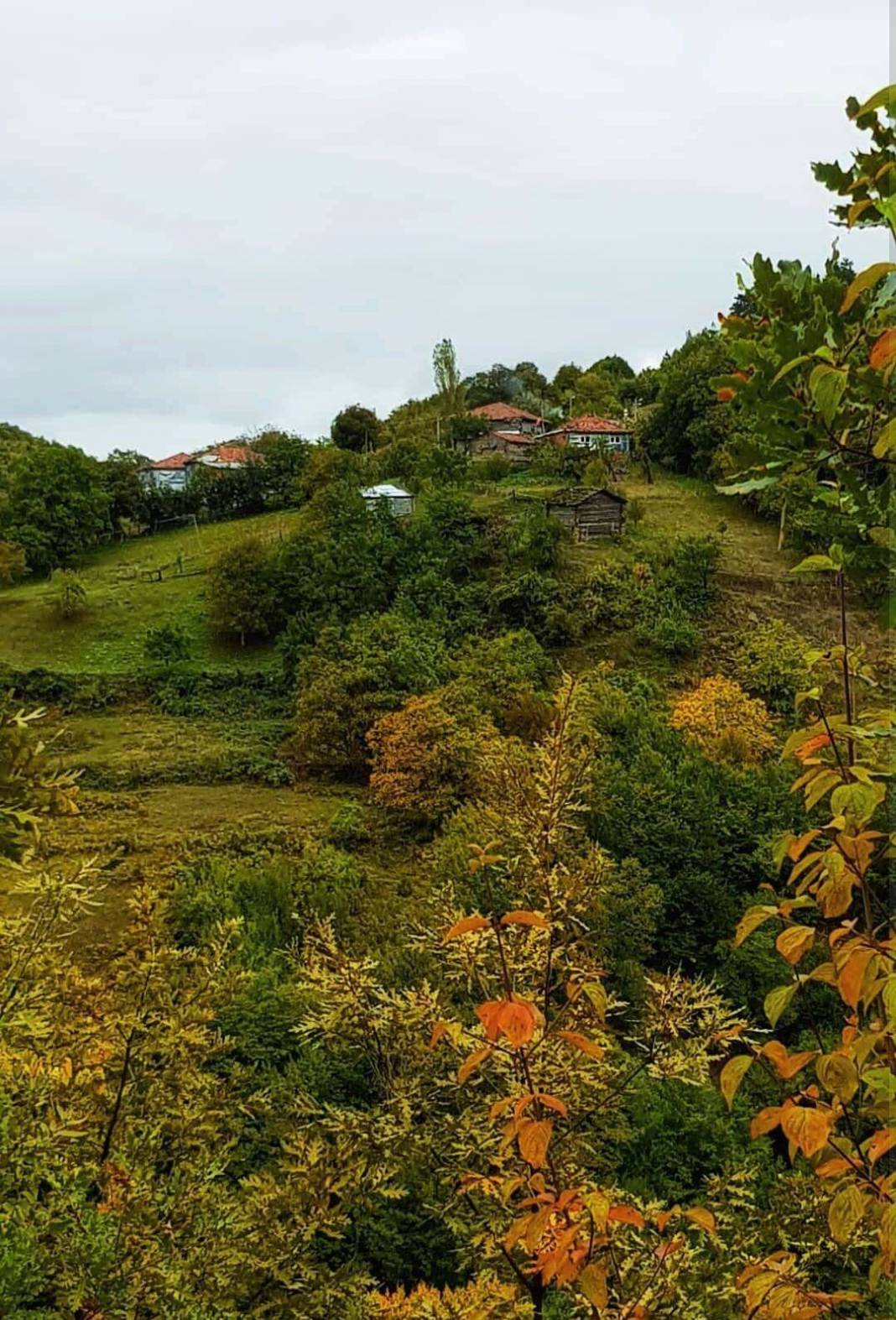 Sinop Akbaş Köyü Resimleri 8