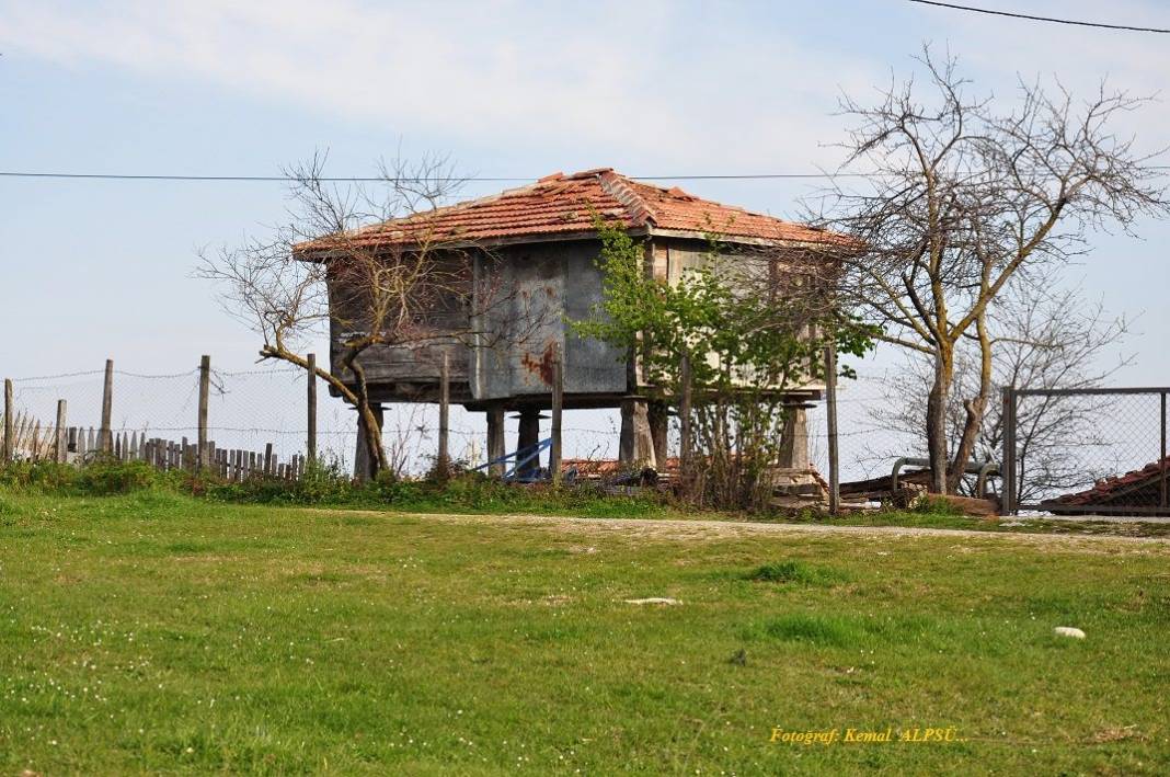 Sinop Aloğlu Köyü Resimleri 1