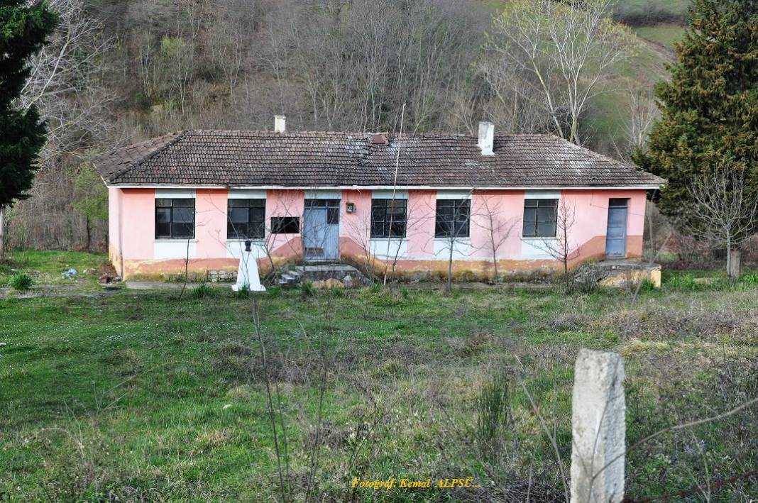 Sinop Aloğlu Köyü Resimleri 2