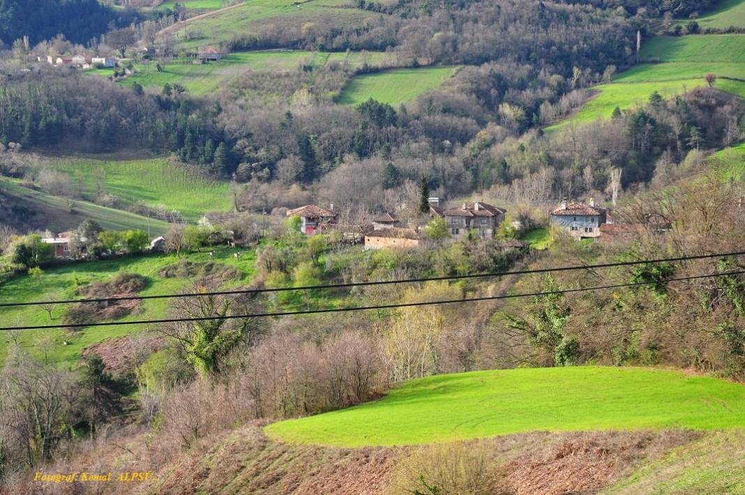 Sinop Aloğlu Köyü Resimleri 3