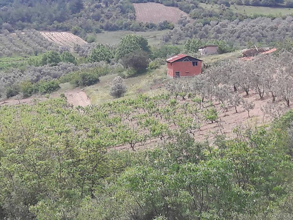 Pamukova Şeyhvarmaz Köyü Resimleri 1