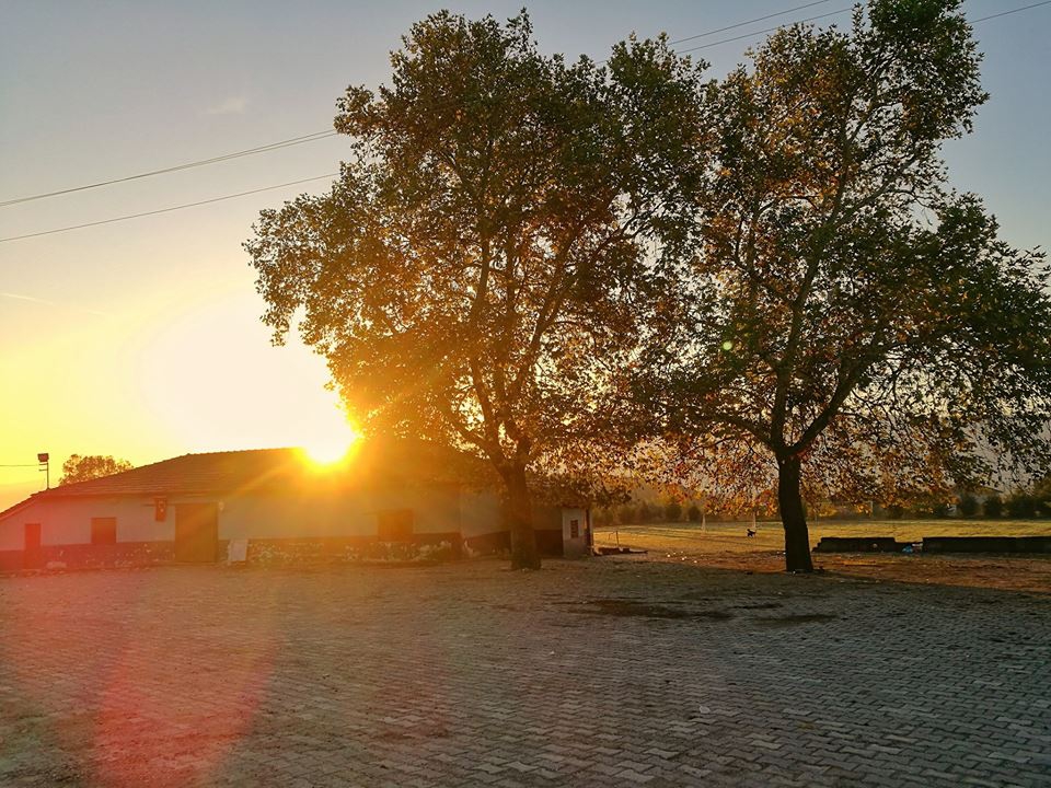 Pamukova Şeyhvarmaz Köyü Resimleri 3