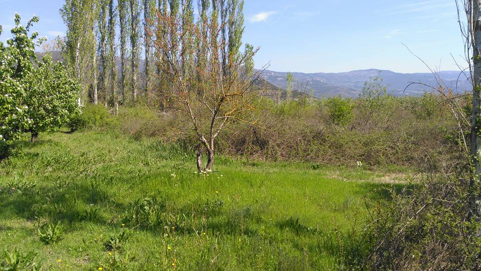 Pamukova Şeyhvarmaz Köyü Resimleri 5