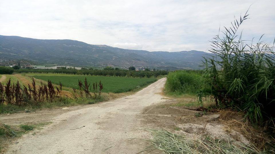 Pamukova Şeyhvarmaz Köyü Resimleri 6