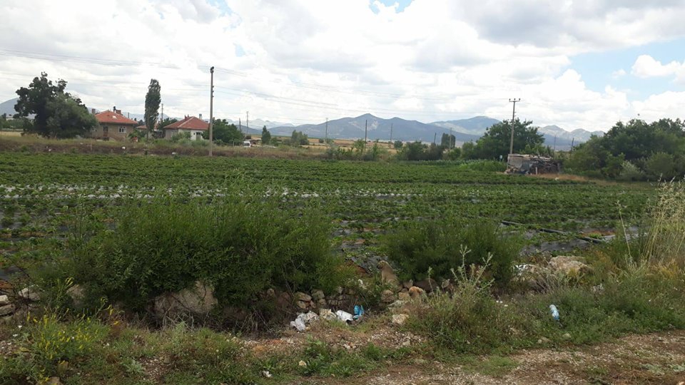 Pamukova Şeyhvarmaz Köyü Resimleri 7