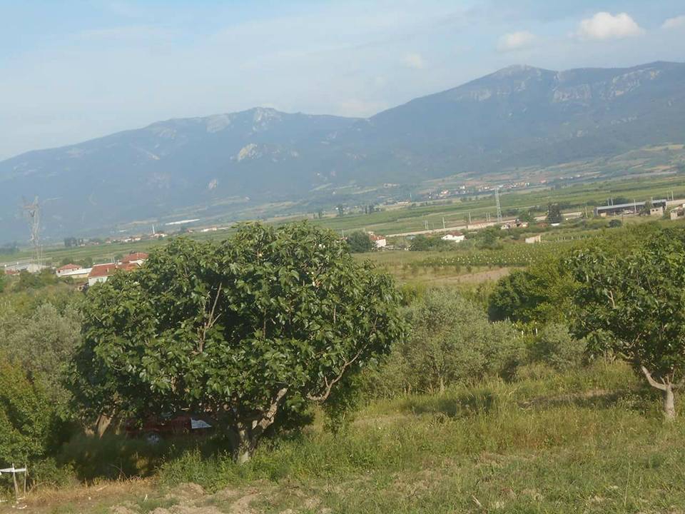 Pamukova Şeyhvarmaz Köyü Resimleri 8