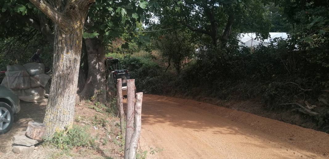 Sinop Dizdaroğlu Köyü Resimleri 5