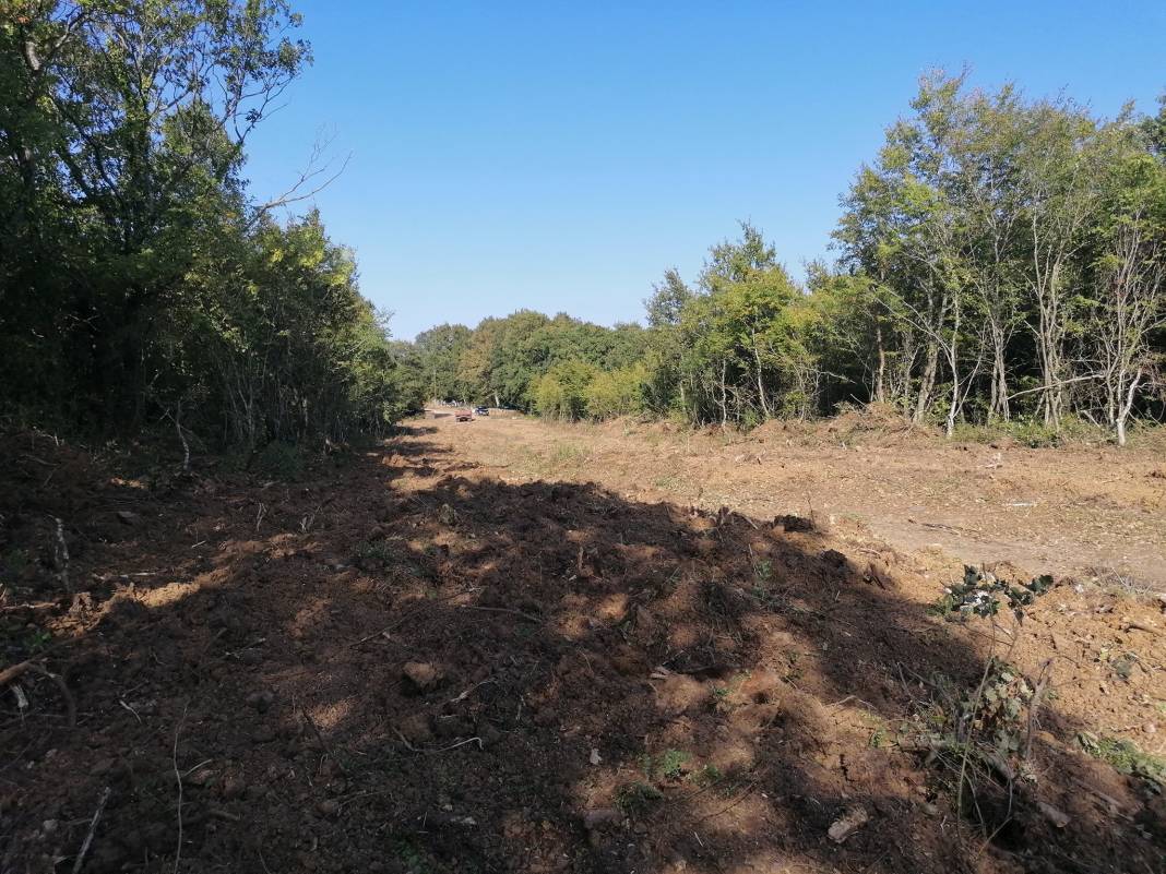 Sinop Dizdaroğlu Köyü Resimleri 6