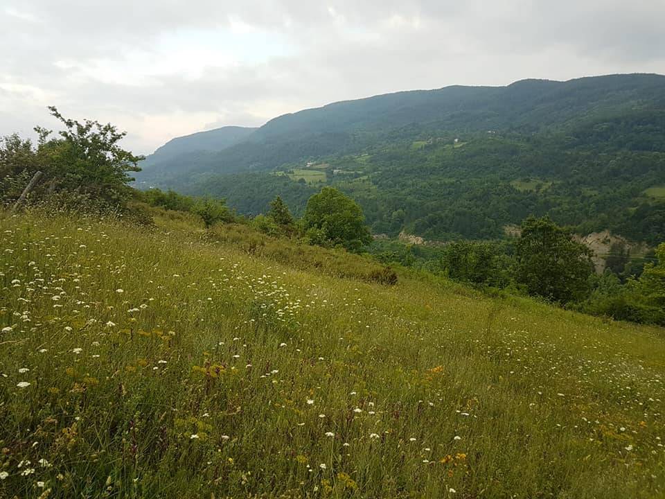 Sinop Hacıoğlu Köyü Resimleri 1