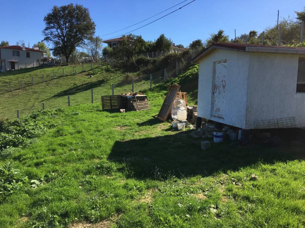 Sinop Hacıoğlu Köyü Resimleri 7