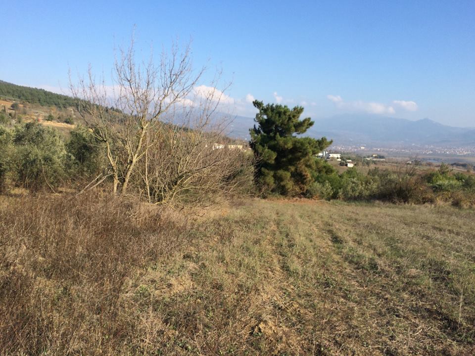 Pamukova Teşvikiye Köyü Resimleri 4