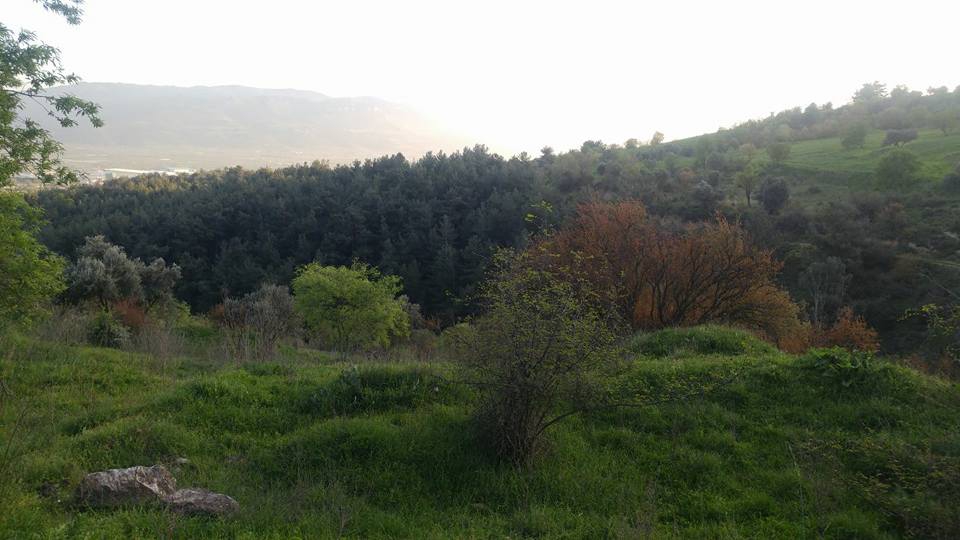 Pamukova Teşvikiye Köyü Resimleri 6