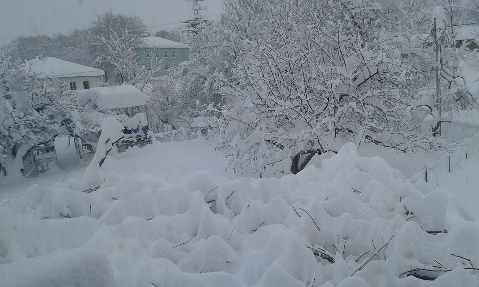 Sinop Kabalı Köyü Resimleri 1