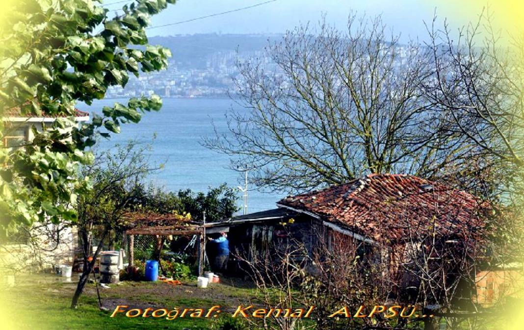 Sinop Korucuk Köyü Resimleri 2