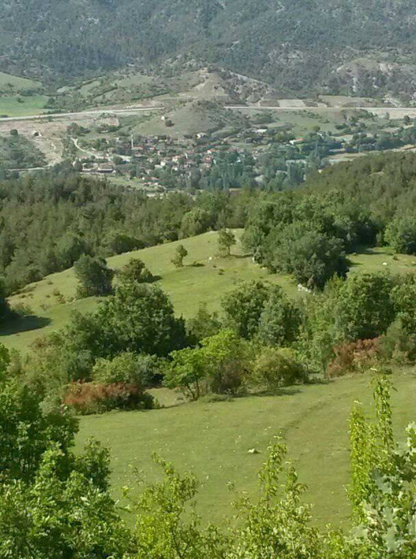 Sinop Korucuk Köyü Resimleri 3