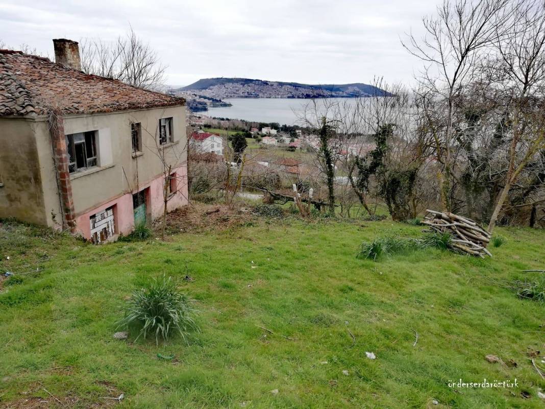 Sinop Korucuk Köyü Resimleri 4