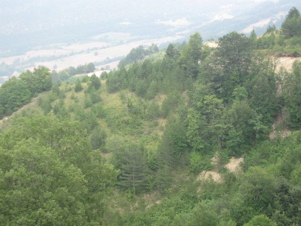 Sinop Melekşah Köyü Resimleri 1