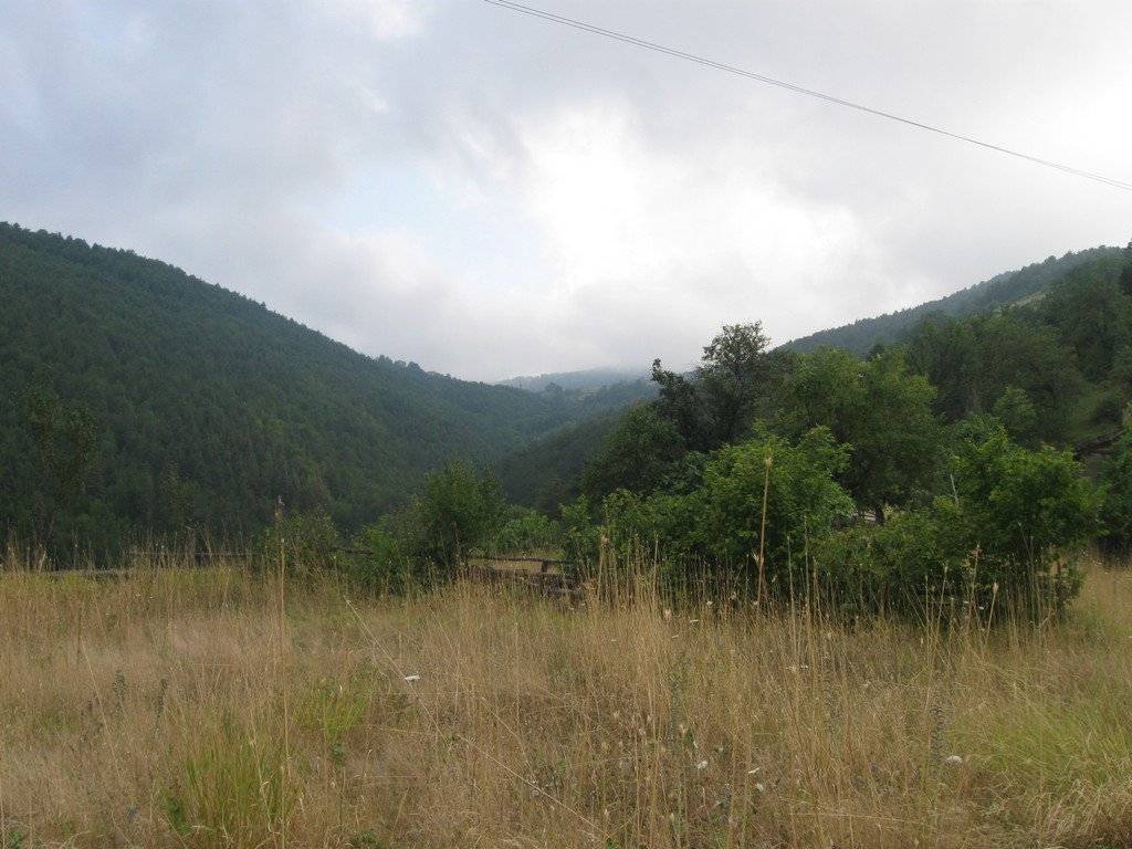 Sinop Melekşah Köyü Resimleri 3