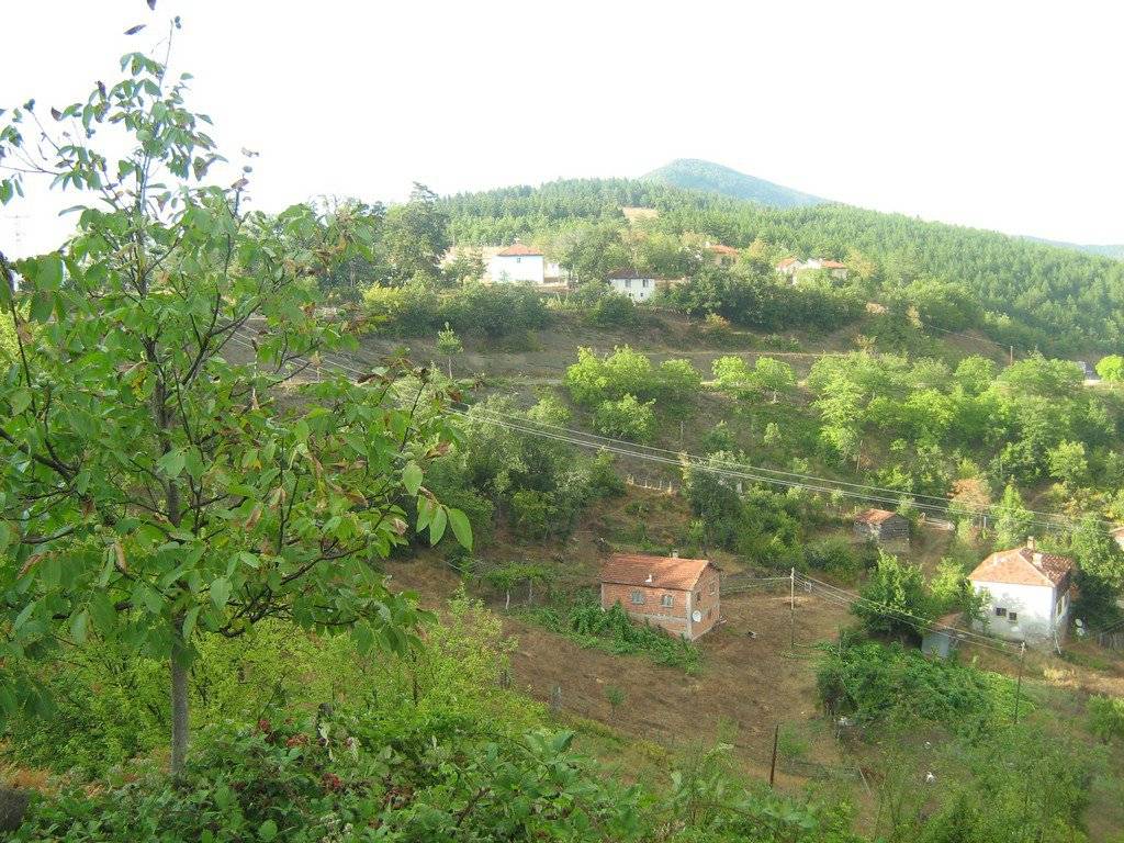 Sinop Melekşah Köyü Resimleri 4