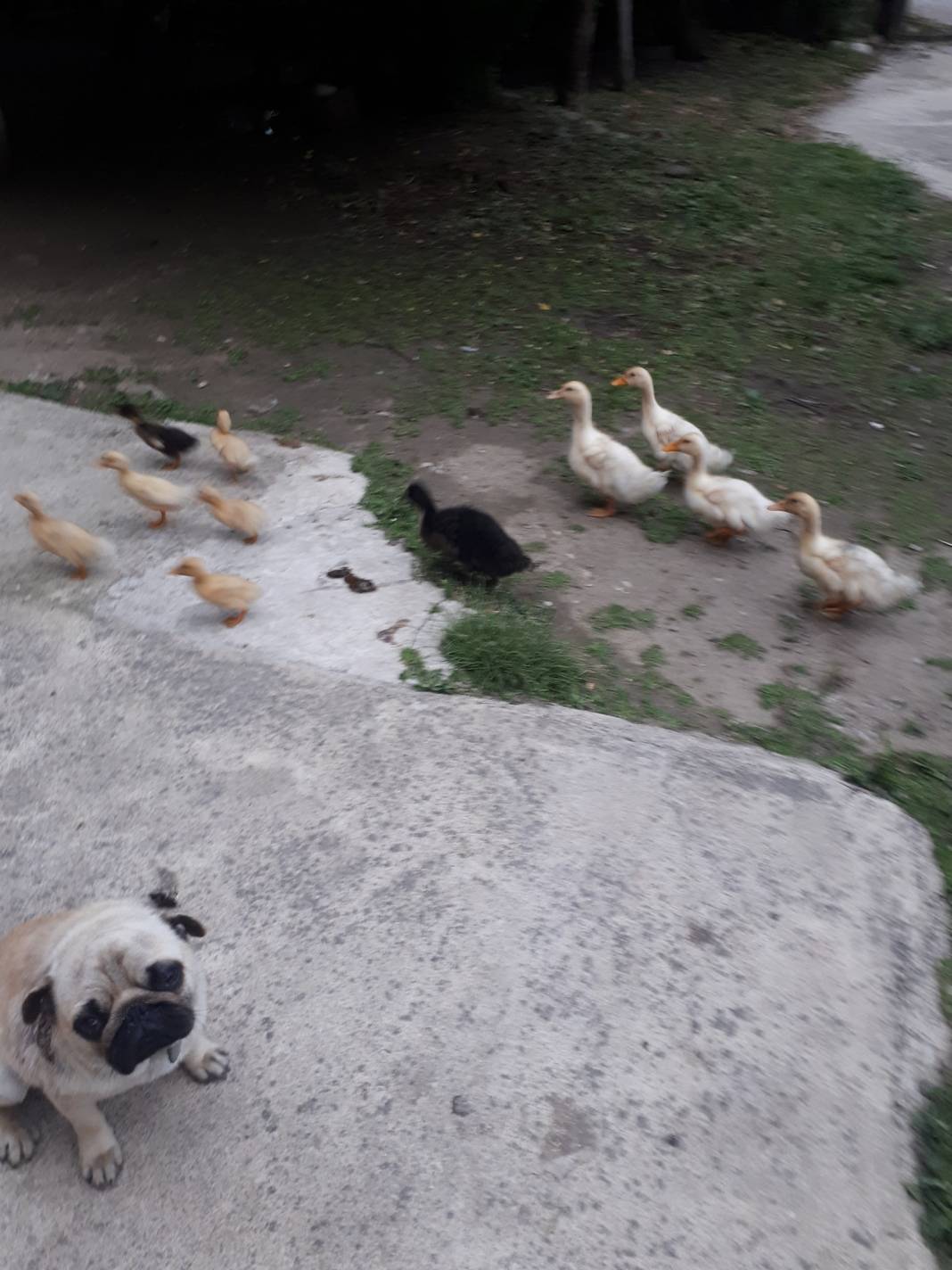 Sinop Mertoğlu Köyü Resimleri 3