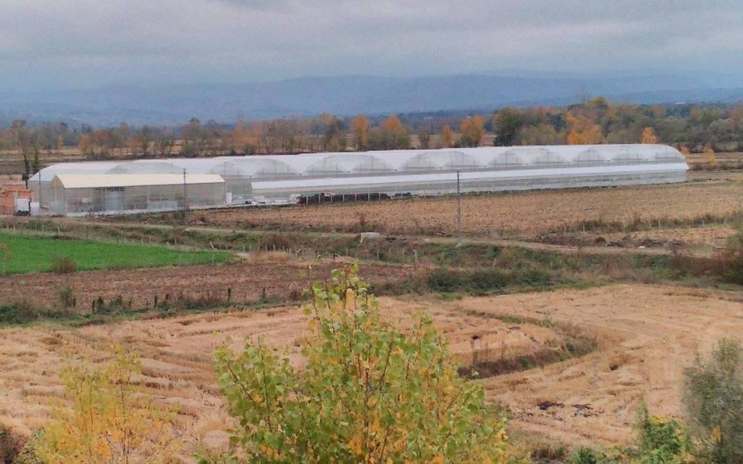Sinop Mertoğlu Köyü Resimleri 8