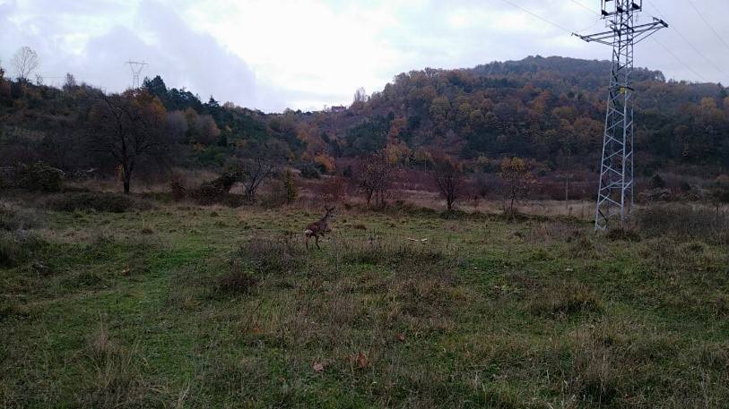 Sinop Sarıkum Köyü Resimleri 11