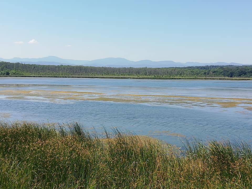 Sinop Sarıkum Köyü Resimleri 12