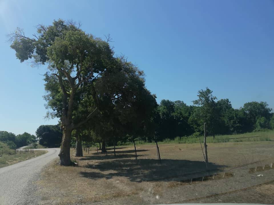 Sinop Sarıkum Köyü Resimleri 13