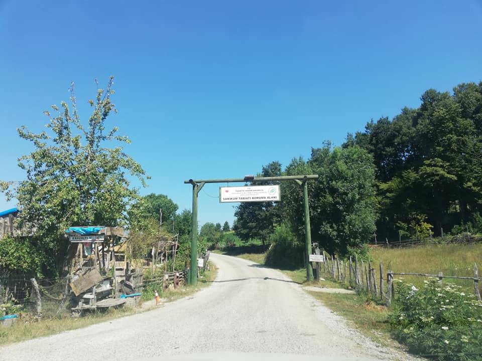 Sinop Sarıkum Köyü Resimleri 14