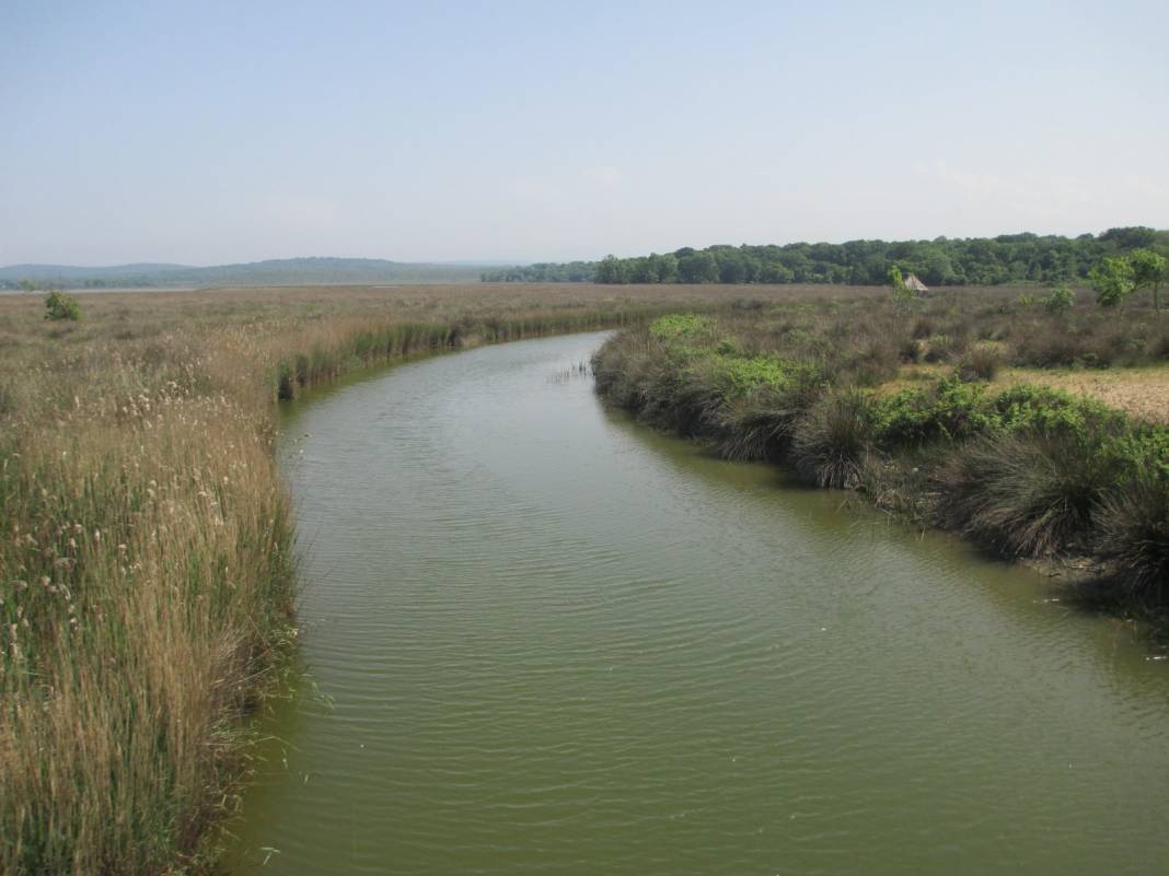 Sinop Sarıkum Köyü Resimleri 2