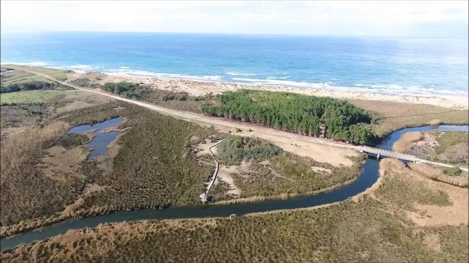 Sinop Sarıkum Köyü Resimleri 5