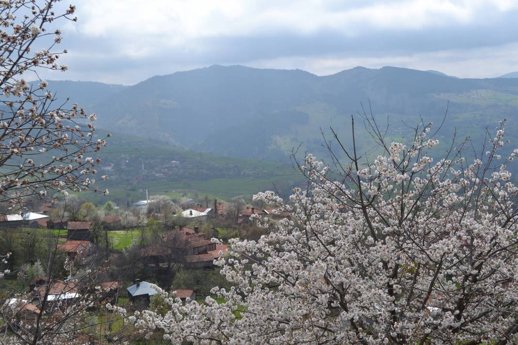 Sinop Sazlı Köyü Resimleri 1