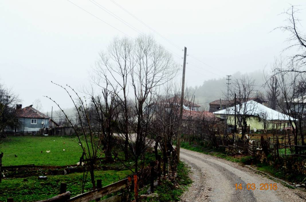 Sinop Sazlı Köyü Resimleri 10