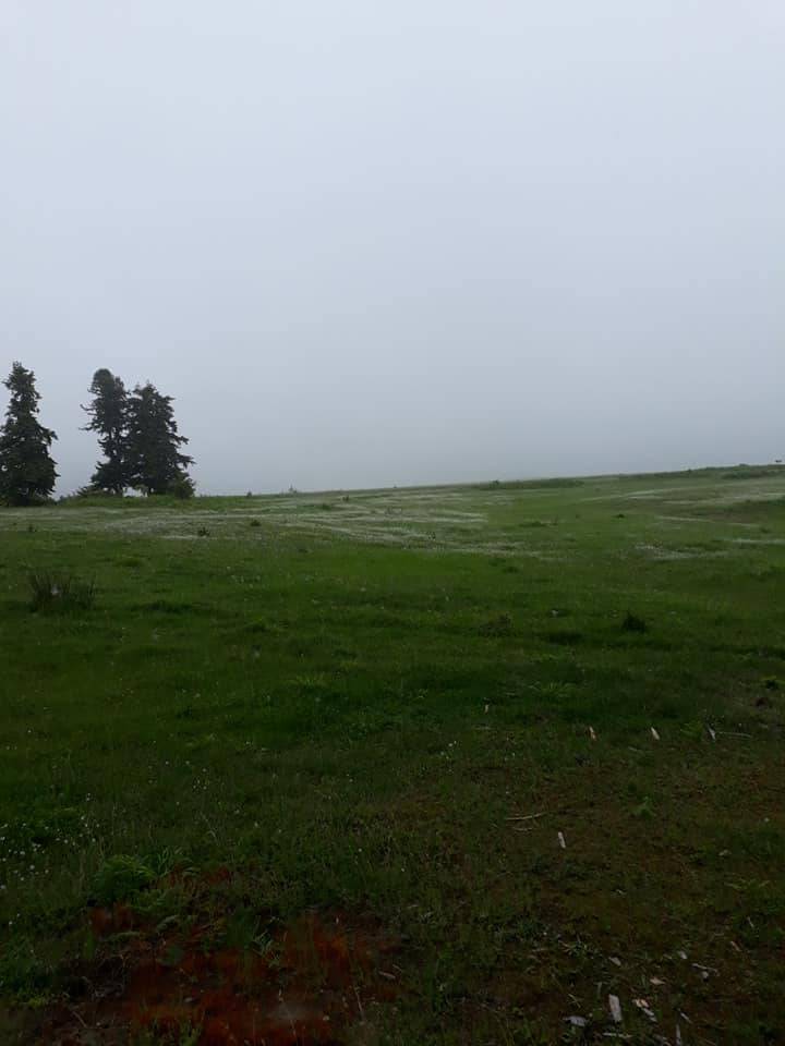 Sinop Sazlı Köyü Resimleri 4