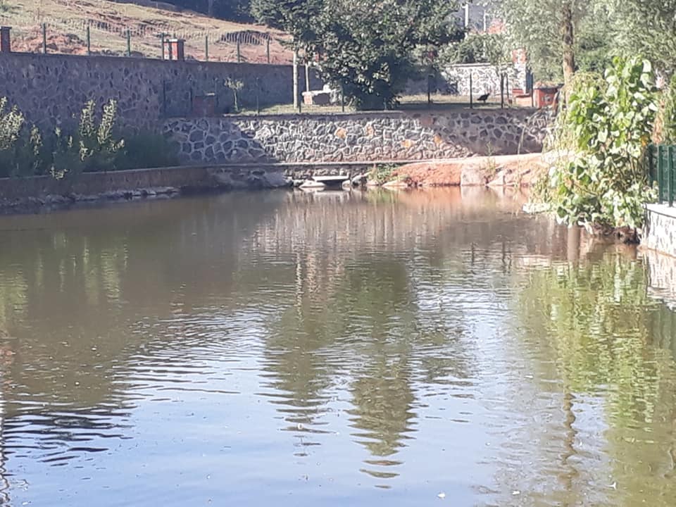 Ferizli Akçukur Köyü Resimleri 3