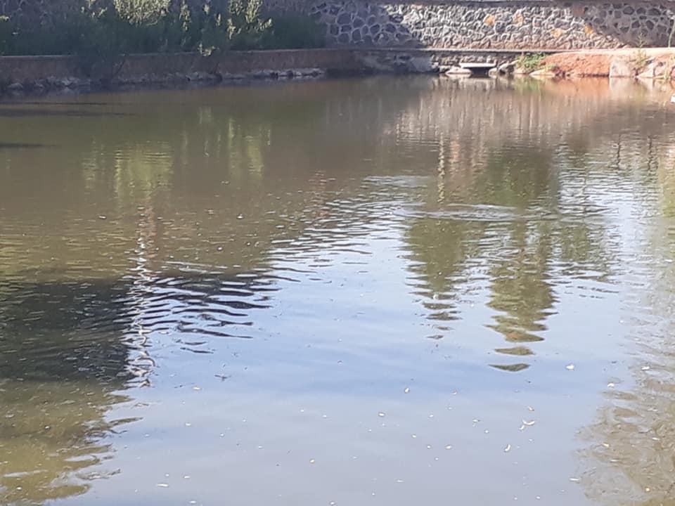 Ferizli Akçukur Köyü Resimleri 4