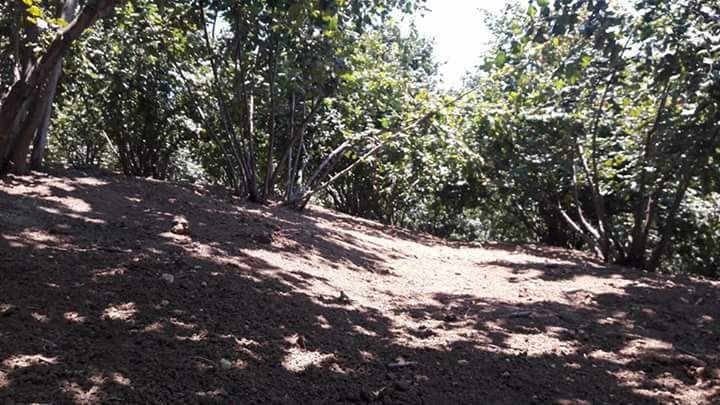 Ferizli Bakırlı Köyü Resimleri 4