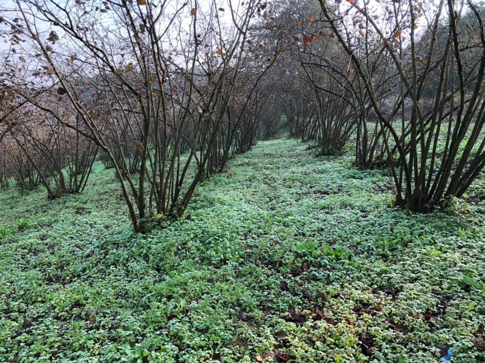 Ferizli Bakırlı Köyü Resimleri 7