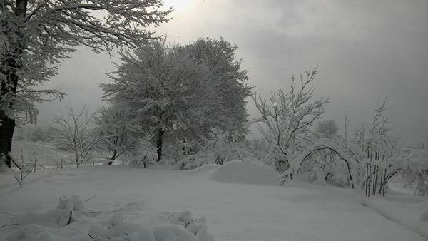 Ferizli Ceylandere Köyü Resimleri 6