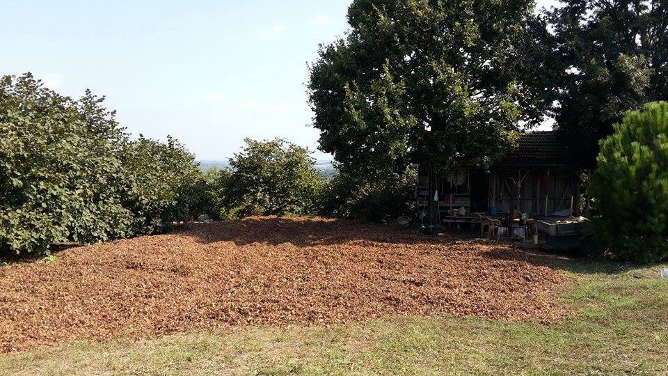 Ferizli Ceylandere Köyü Resimleri 8