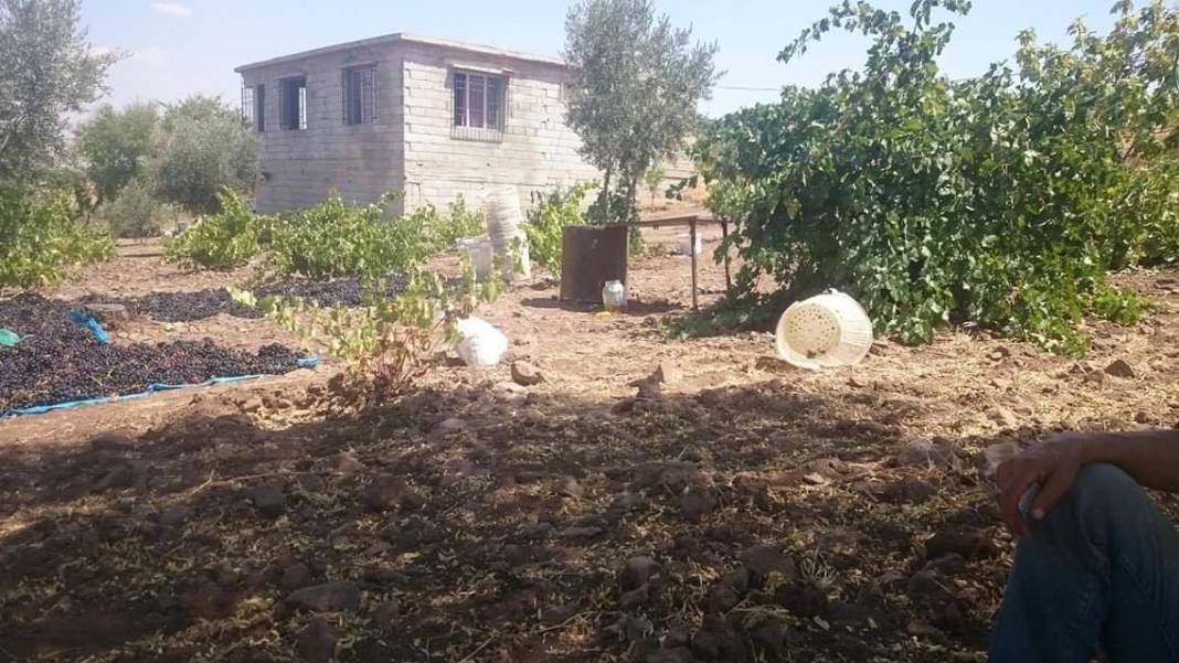 Musabeyli Kayapınar Köyü Resimleri 1