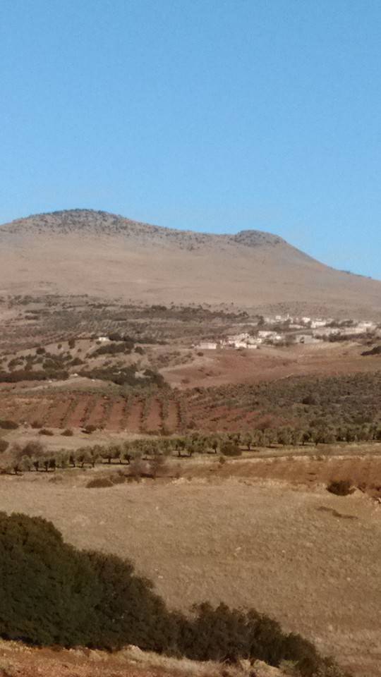 Musabeyli Kolpınar Köyü Resimleri 1