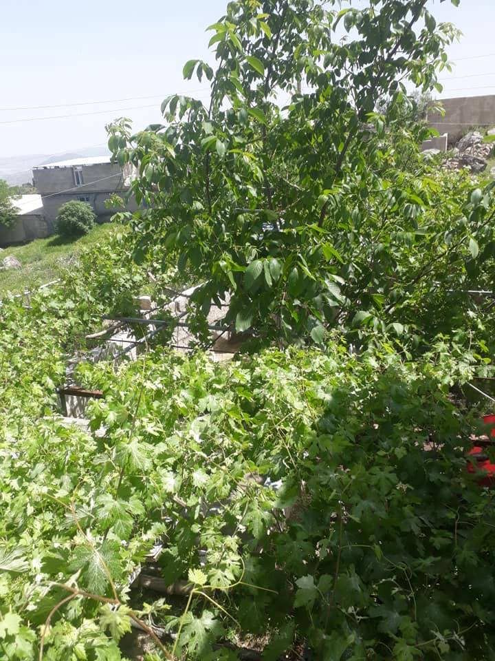 Musabeyli Kolpınar Köyü Resimleri 4