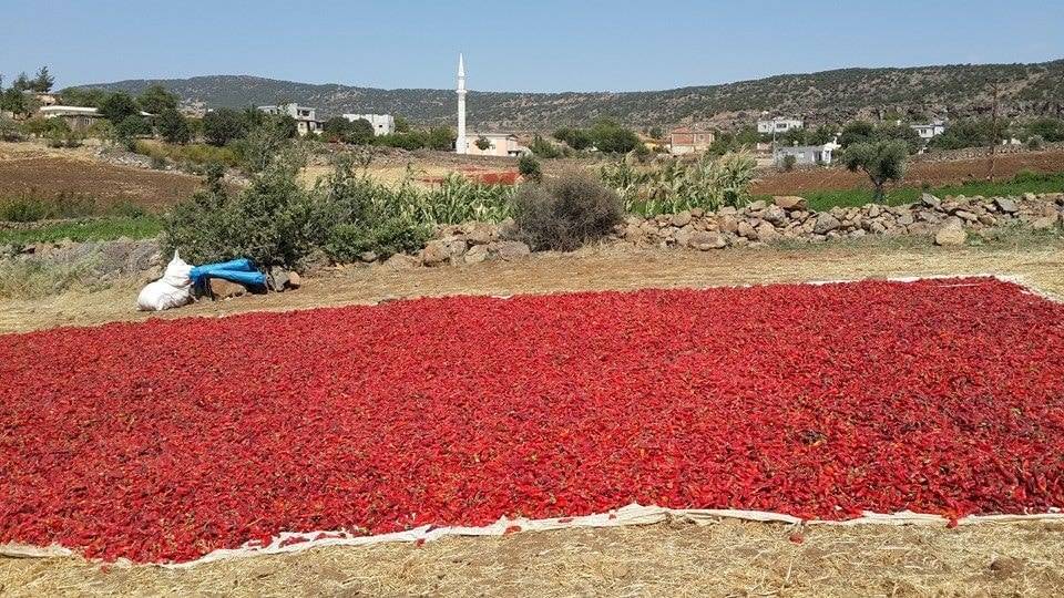 Musabeyli Topallar Köyü Resimleri 6
