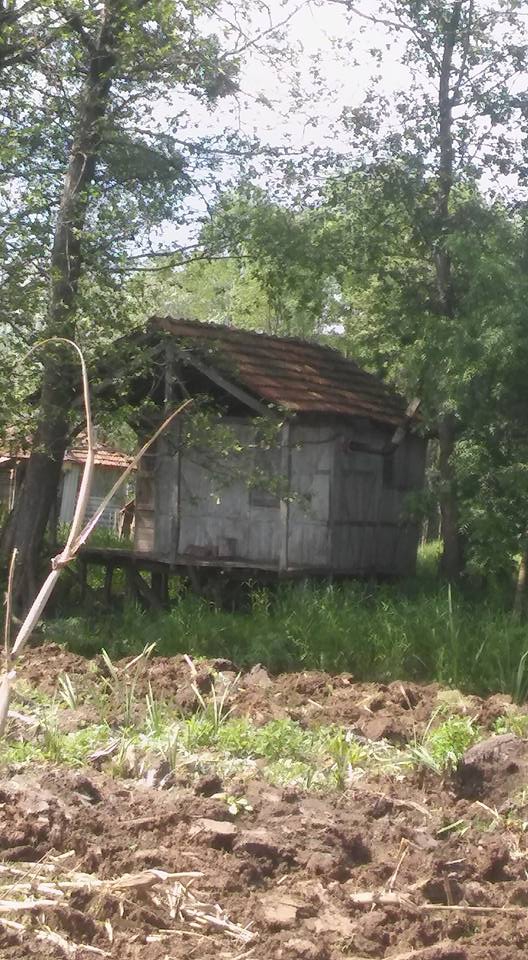 Ferizli Gölkent Köyü Resimleri 10