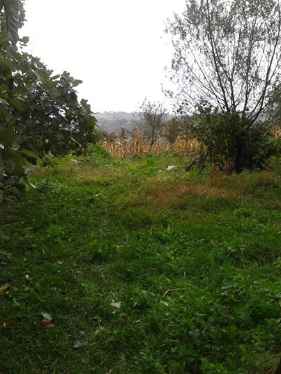 Ferizli Gölkent Köyü Resimleri 14