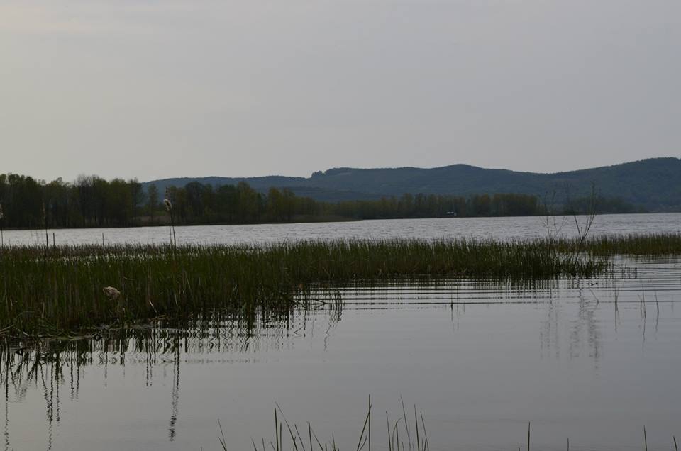 Ferizli Gölkent Köyü Resimleri 2