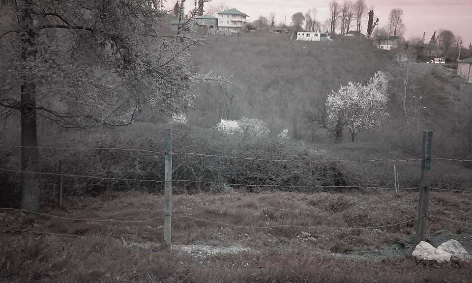 Ferizli Gölkent Köyü Resimleri 3